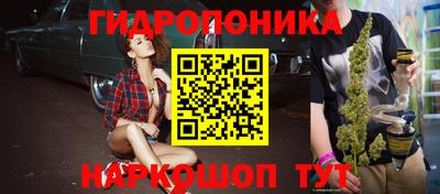 дмт Бердск