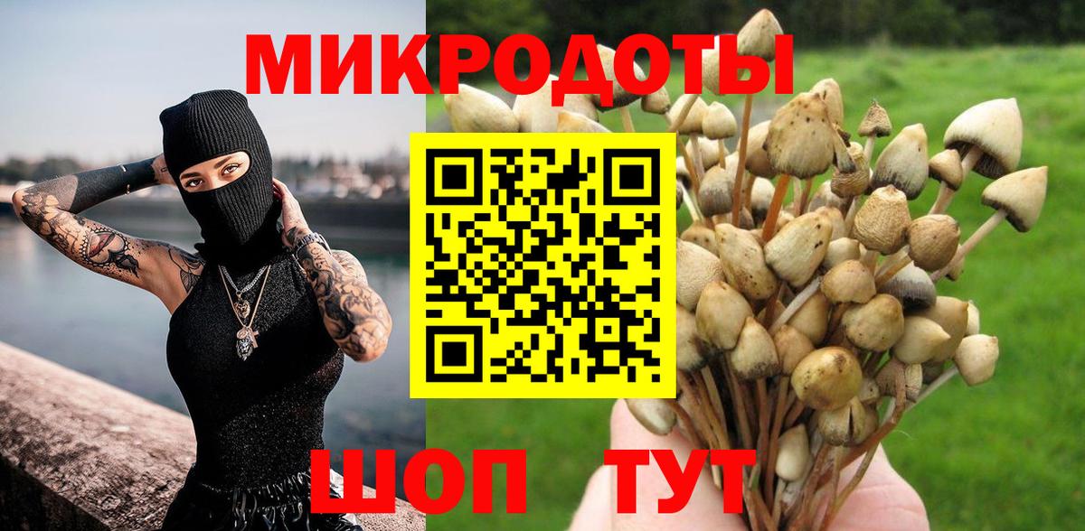 Псилоцибиновые грибы Psilocybe  Вход с VPN  Тулун 
